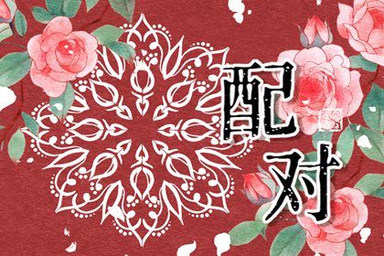 十二生肖婚配概说