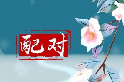 合婚报告是什么？